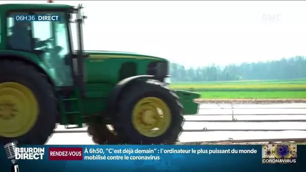 Covid-19: Pénurie de main d'oeuvre dans le secteur agricole