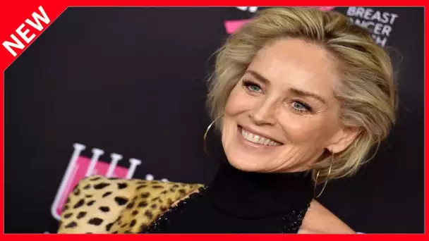 ✅  Sharon Stone, 62 ans : sa mesure radicale pour se protéger du coronavirus