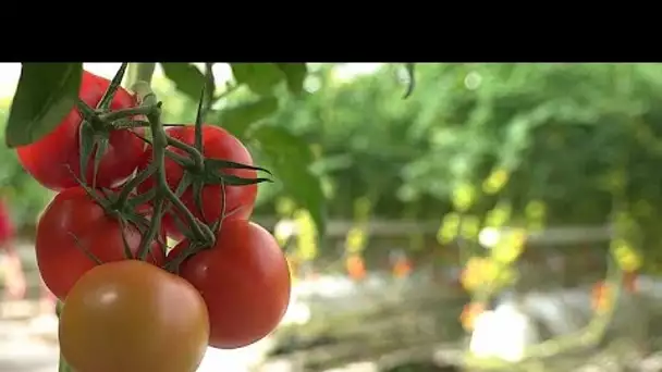 Le modèle d'une agriculture durable fait son chemin dans l'UE