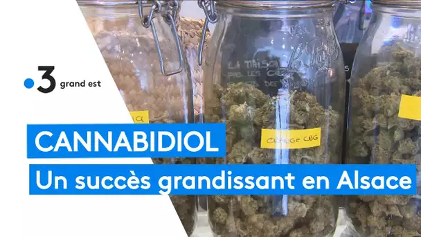 Alsace : le succès grandissant du cannabidiol (CBD)