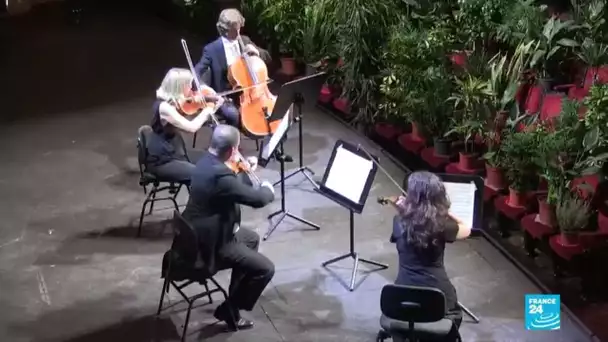 Covid-19 - Déconfinement en Espagne : à Barcelone, concert dans un opéra devant 2200 plantes