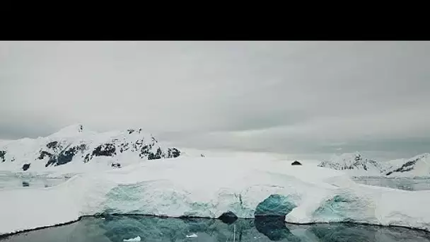 Protection de l'Antarctique : un défi scientifique et géopolitique