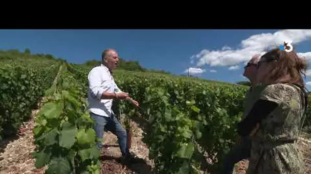 Le champagne, et ses villages