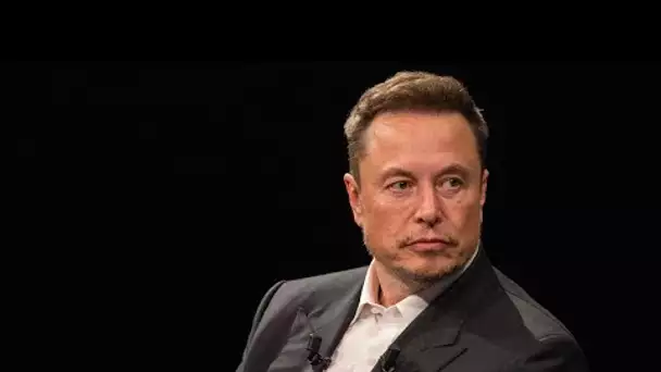 Elon Musk offre chaque jour un million à un signataire d’une pétition pro-Trump : est-ce légal ?