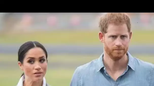 King's Coronation renforcera la hiérarchie royale avec Harry et Meghan prêts à "se démarquer"