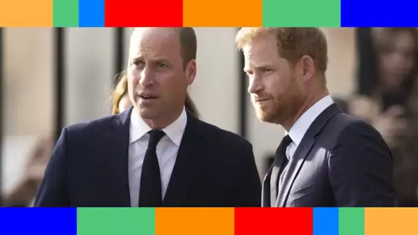 Obsèques d'Elizabeth II : Harry et William côte à côte derrière son cercueil ? Les tractations vont