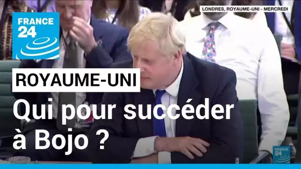 Démission de Boris Johnson : les conservateurs cherchent leur successeur • FRANCE 24