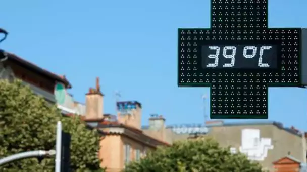 «On souffre» : à Toulouse, les habitants fuient les terrasses des restaurants pour les bancs des …