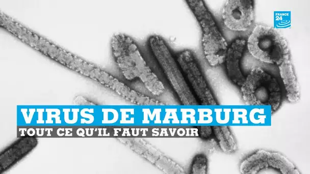 Tout ce qu'il faut savoir sur le virus de #Marburg