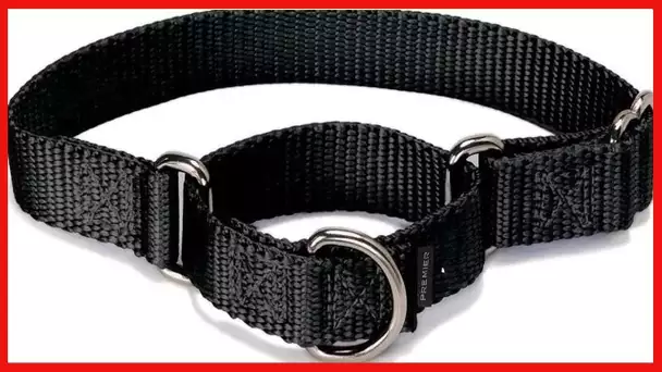 PetSafe Martingale Collar, 3/8" Petite, Black