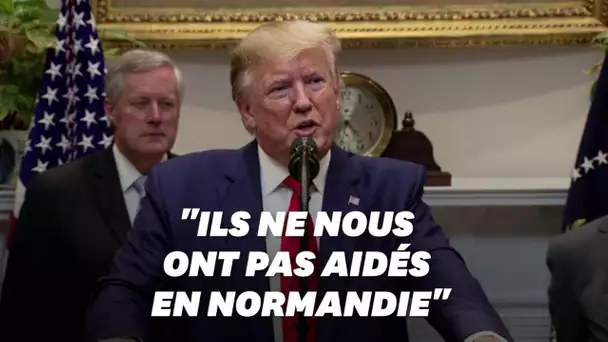 Trump a refusé d'aider les Kurdes à l'aide d'un argument surréaliste