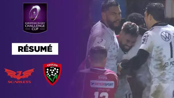 Challenge Cup : Toulon fonce vers les quarts