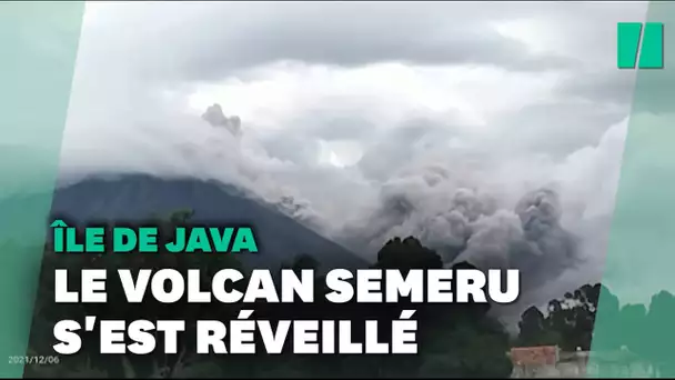 Les images de l'éruption du volcan Semeru en Indonésie