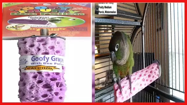 Polly's Tooty Fruity Pollen Bird Perch, Medium (Assorted Flavor)