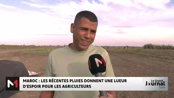 Maroc : les récentes pluies donnent une lueur d´espoir pour les agriculteurs