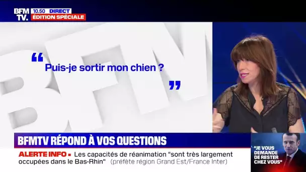 Ai-je le droit de sortir le chien ou de faire prendre l'air à mes enfants ?