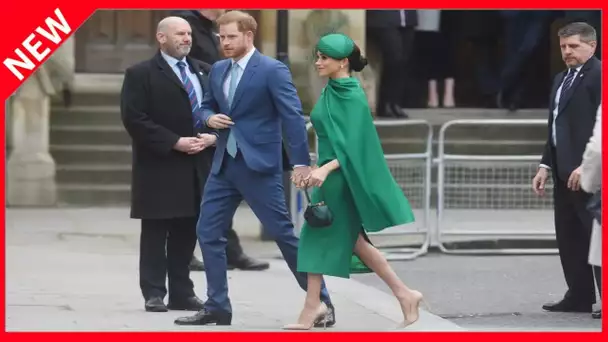 ✅  Prince Harry : pourquoi il est la principale victime du Megxit ?