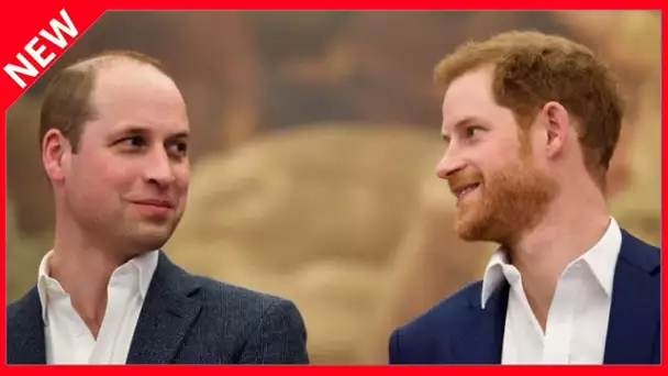 ✅  Prince William : nouvelles tensions à l’horizon avec Harry ?