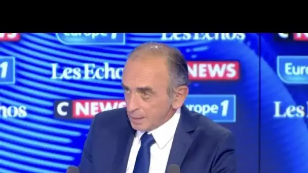 Eric Zemmour : "Edouard Philippe est un immigrationniste"