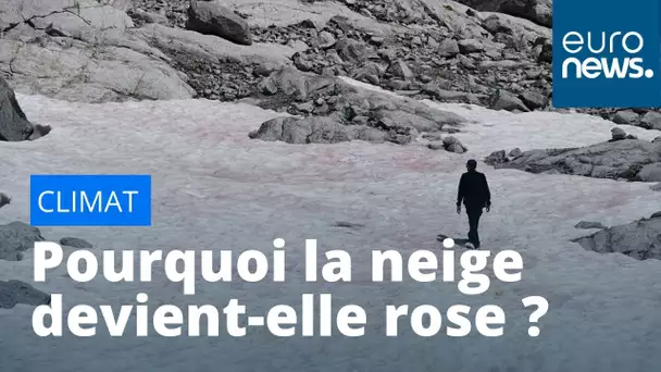 Climat : mais pourquoi la neige devient-elle rose dans les Alpes en Italie ?