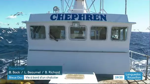 A bord d'un Chalutier au Grau-du-Roi avec Bleue Occitanie