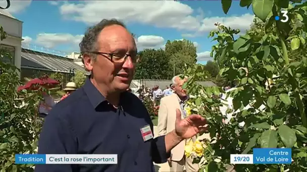 Orléans : 61e concours international de la rose