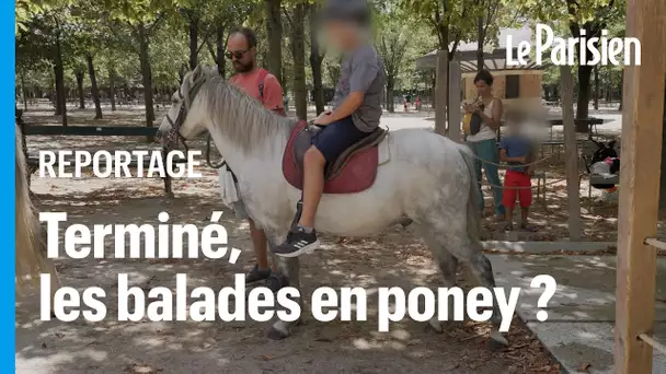 « On fait du business sur le dos des animaux » une association veut faire interdire les balades à po