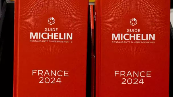 Clermont-Ferrand : une vente aux enchères exceptionnelle pour fêter les 25 ans de ventes Michelin