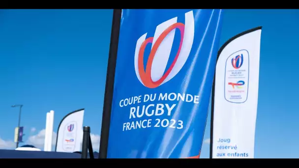 Championnat du monde de handball, Coupe du monde de rugby...2023 s'annonce sportive