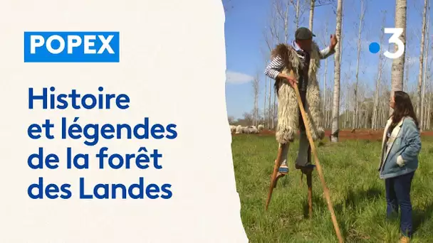 EXTRAIT. Popex explore l'histoire et les légendes de la forêt des Landes