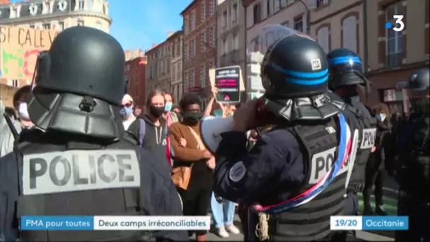 Manif pour tous à Toulouse : des tensions entre deux camps irréconciliables