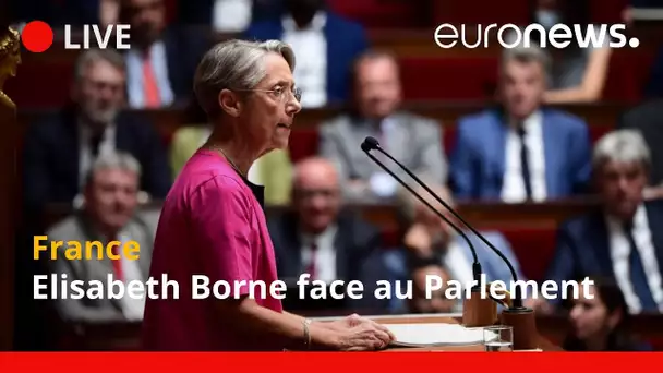 France : Elisabeth Borne face au parlement | En direct