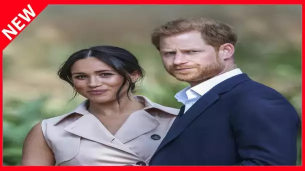 ✅  Meghan Markle et Harry comparés à Hitler : encore une polémique