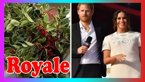 Le prince Harry a rejeté la tr@dition de Noël avec Meghan Markle: ''Je trouve ce truc bizarre''