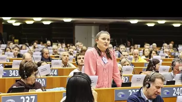 L'UE tente de se réformer mais que veulent les citoyens ?