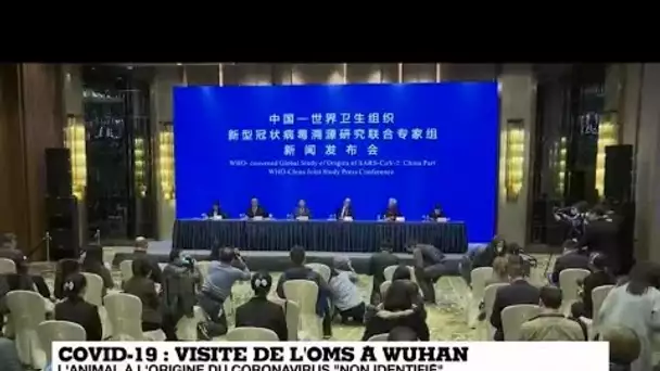 Enquête de l'OMS à Wuhan : l'animal à l'origine du coronavirus "pas encore identifié"