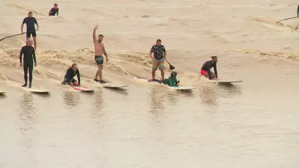 Gironde : le mascaret sur la Dordogne fait le bonheur des amateurs de glisse