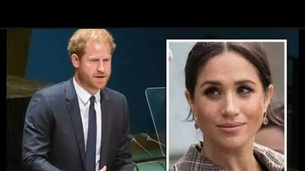 La vie de Harry et Meghan loin de la famille royale n'est « rien de moins qu'un désastre »