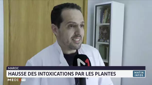 Hausse des intoxications par les plantes