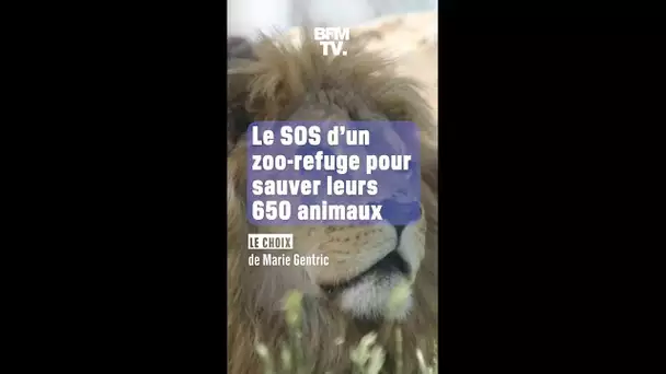 Le SOS d'un zoo-refuge en Eure-et-Loir pour sauver ses 650 animaux