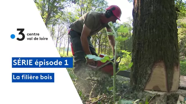 La filière bois : comment s'organise les 1 millions d'hectares de forêts de la région Centre ?