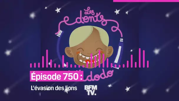 Les dents et dodo - “Épisode 750 : L'évasion des lions”