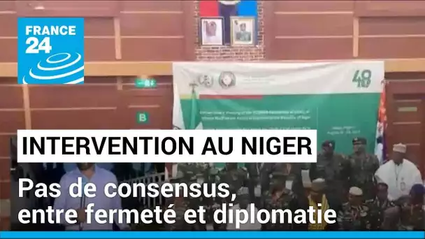 Intervention au Niger : pas de consensus, entre fermeté et diplomatie, la région divisée