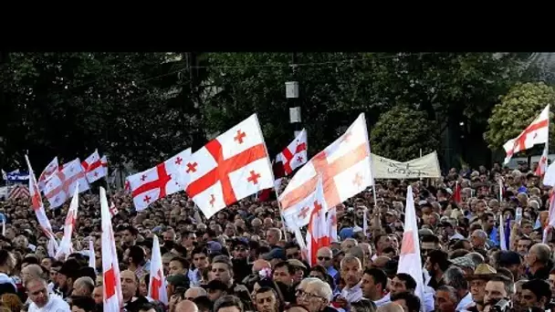 Manifestation en faveur du projet de loi sur l'influence étrangère en Géorgie