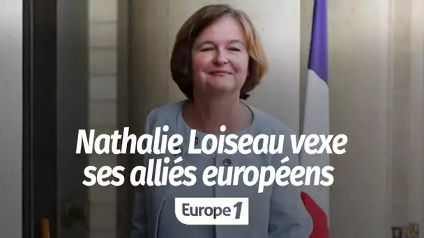 Nathalie Loiseau vexe ses alliés européens : "un carnage politique", juge notre éditorialiste Mic…