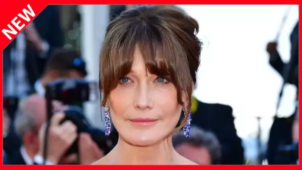 ✅  « Il a tout inventé » : Carla Bruni dément être sortie avec Donald Trump