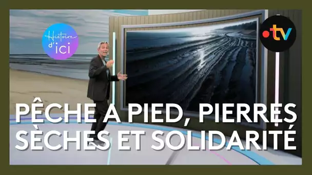 Histoire d'Ici: les écluses à poissons de l'île d'Oléron