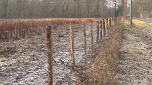 Souesmes : un nouvel exemple d'engrillagement de la Sologne