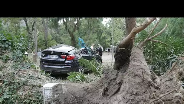 Orages en Corse : de Sagone à Calvi, la route de la désolation