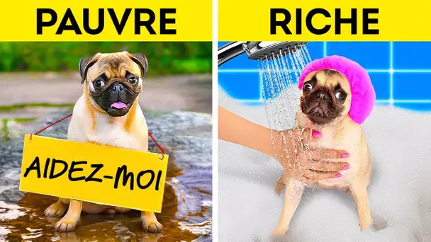 Gadgets Et Astuces Fantastiques Pour Les Meilleurs Propriétaires D'animaux De Compagnie